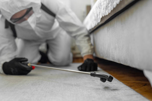 Professional Bed Bug Control technician working in Millersburg, OR