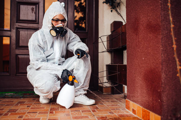 Reliable Bed Bug Control contractor in Millersburg, OR by Nex Pest Control