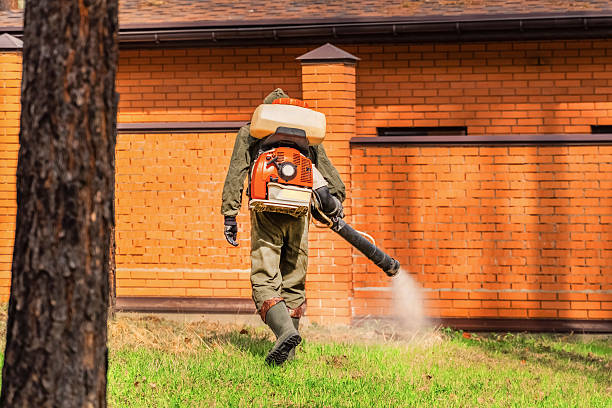 Trusted Bed Bug Control service in Millersburg, OR - Nex Pest Control